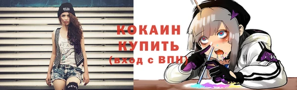 твердый Богданович