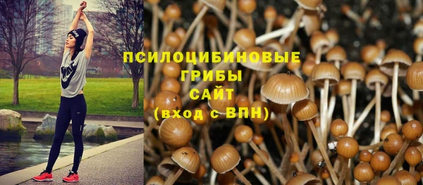 твердый Богданович
