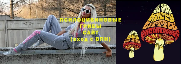 соль курить ск Богородск