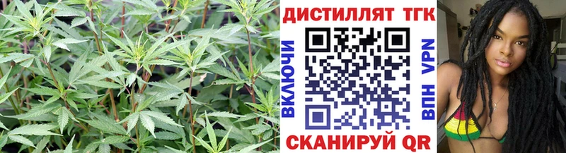 ТГК гашишное масло  OMG tor  Реж 