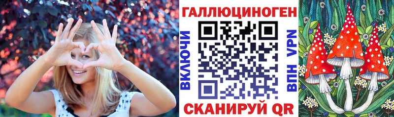 кракен онион  сколько стоит  Реж  маркетплейс какой сайт  Галлюциногенные грибы Psilocybe 